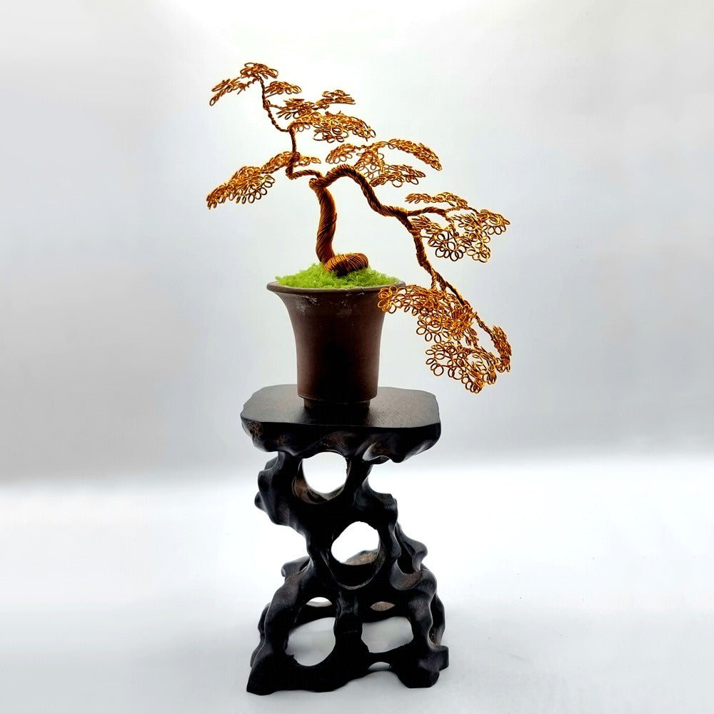 Wire Bonsai Tree Cascade Style 11x13