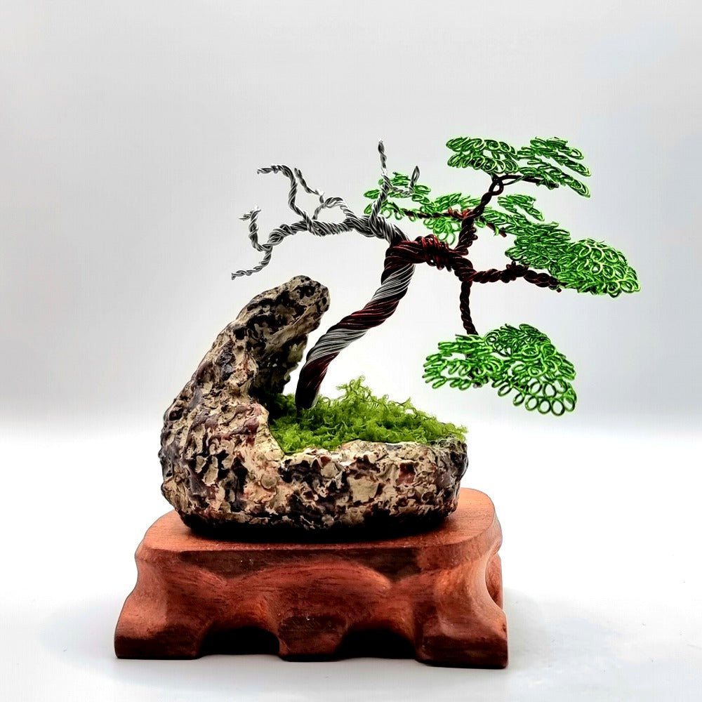 Juniper Wire Bonsai Tree In Crescent Pot 9x10