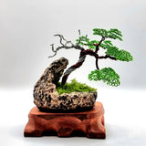 Juniper Wire Bonsai Tree In Crescent Pot 9x10