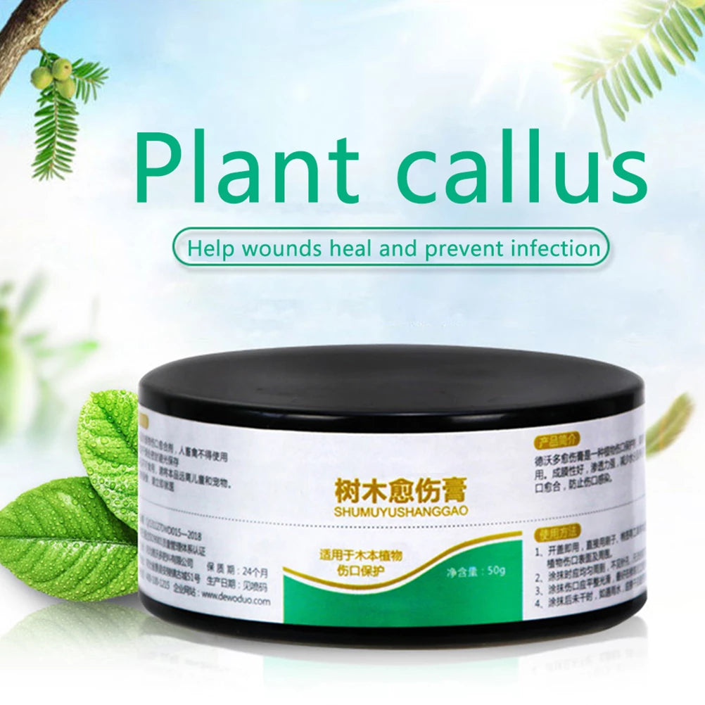 50g Bonsai Wound Healing Paste