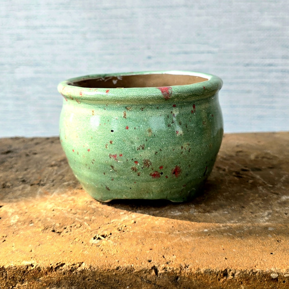 Round Bonsai Pot cm x cm