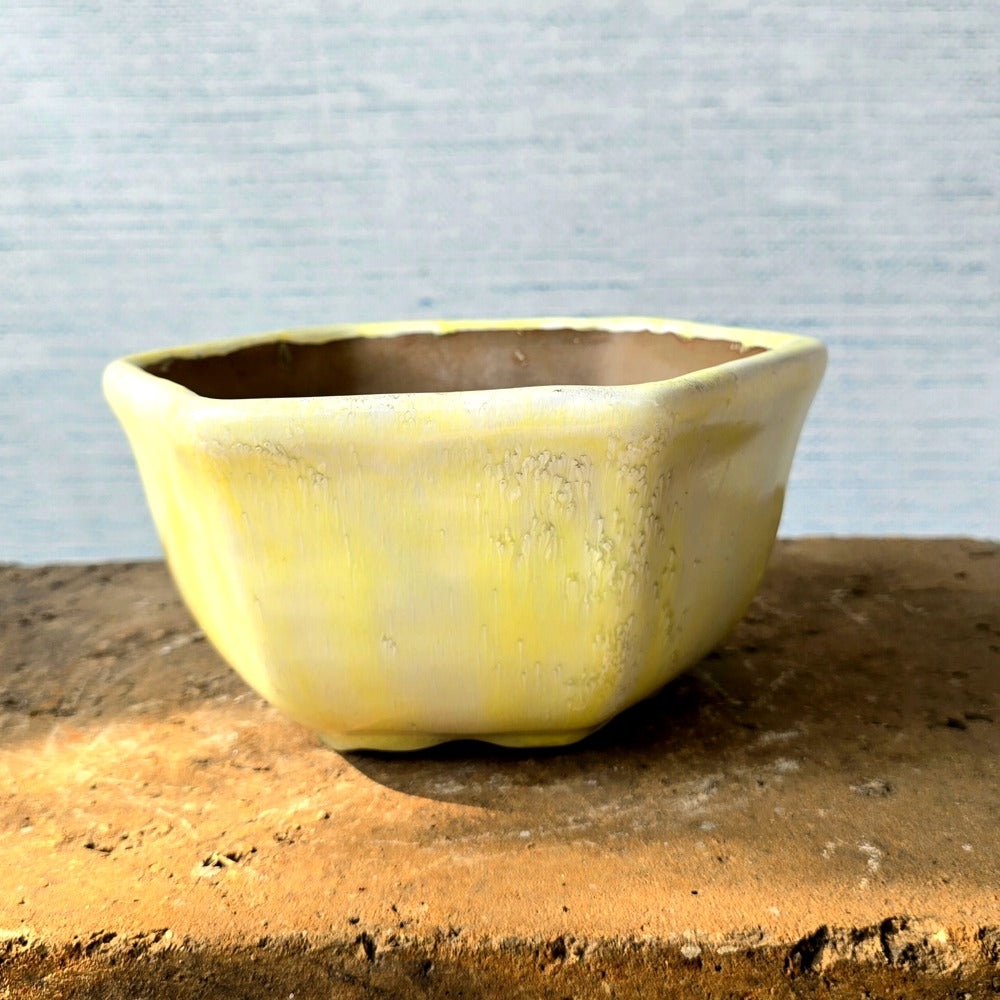 Hexagon Bonsai Pot