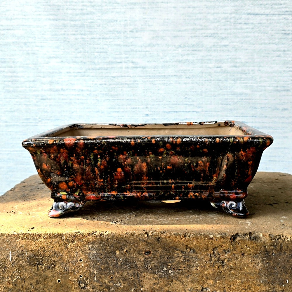 Rectangle Bonsai Pot 26cm x 19cm
