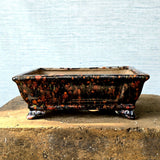 Rectangle Bonsai Pot 26cm x 19cm