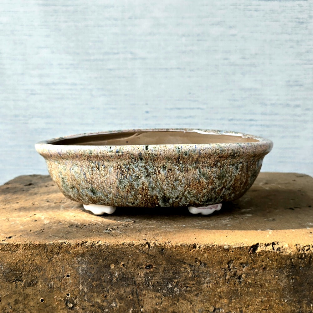 Oval Bonsai Pot 25cm x 15cm