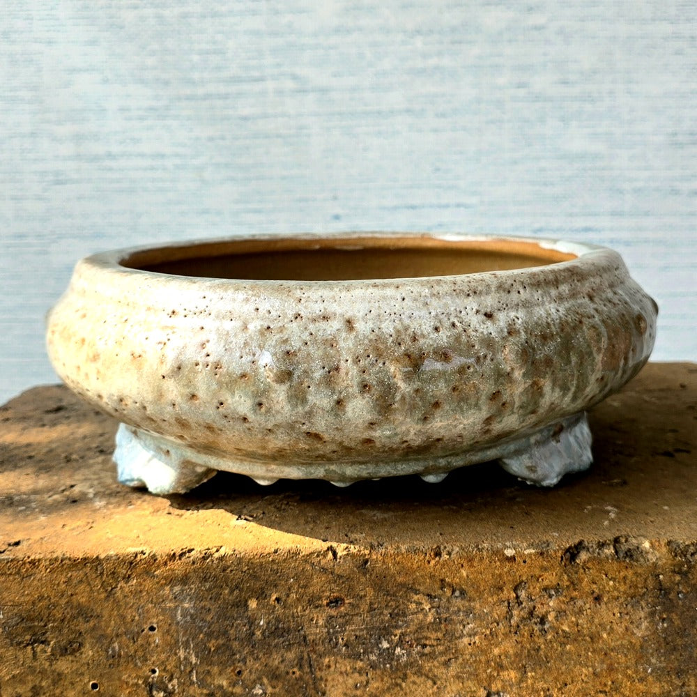 Round Bonsai Pot 21cm x 10cm