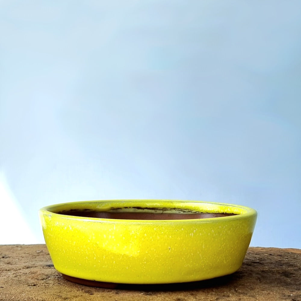 Oval Bonsai Pot 20cm x 16.5cm