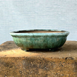 Oval Bonsai Pot 25cm x 15cm