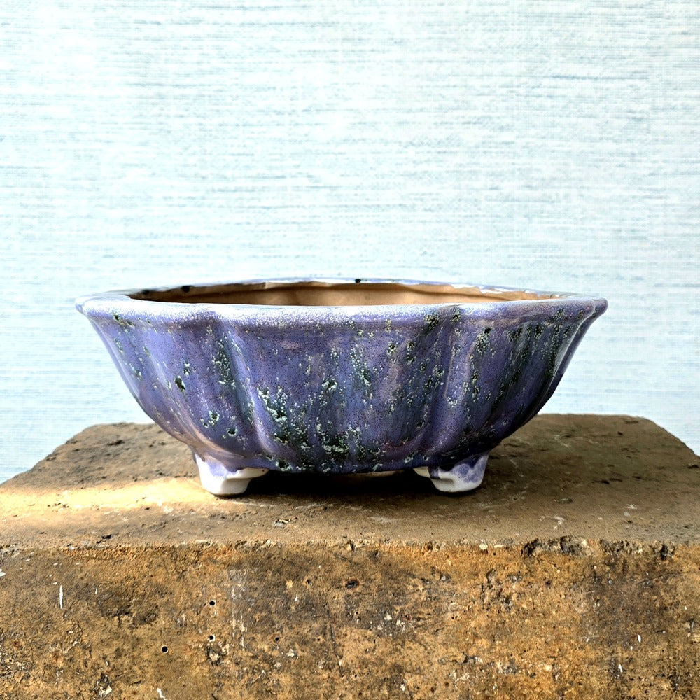 Round Bonsai Pot 30cm x 9cm