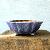Round Bonsai Pot 30cm x 9cm