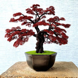 Wire Bonsai Tree Black & Maroon