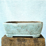 Rectangle Bonsai Pot