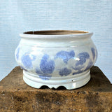 Round Bonsai Pot