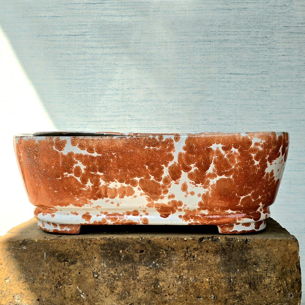 Rectangle Bonsai Pot