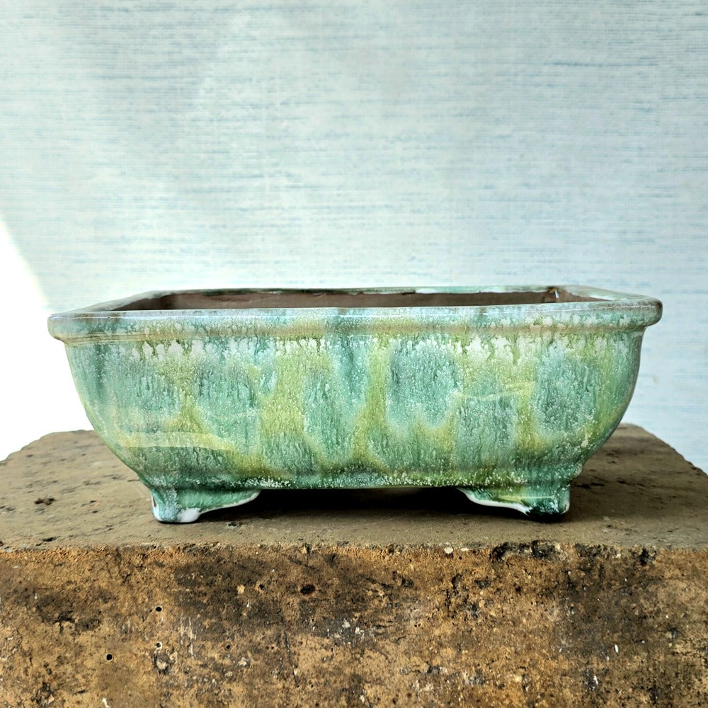 Rectangle Bonsai Pot 34cm x 24cm