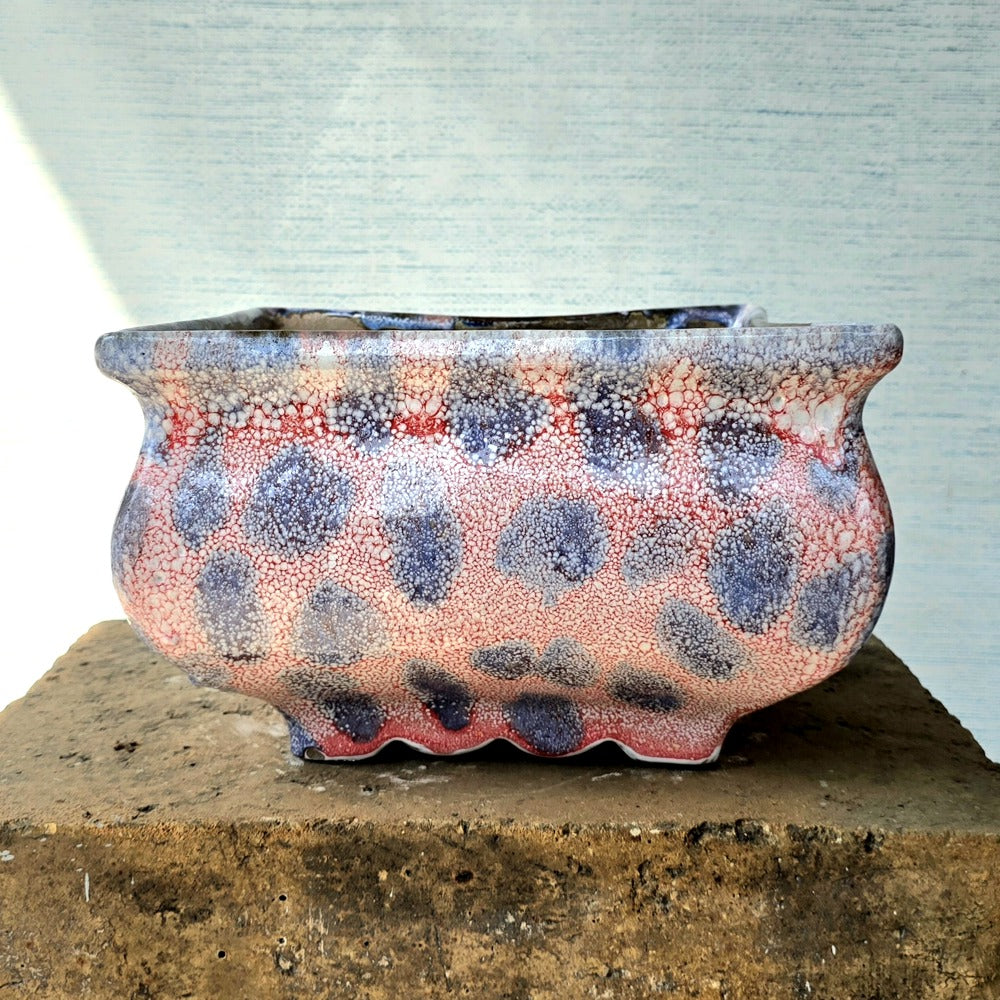Square Bonsai Pot 24cm x 15.5cm
