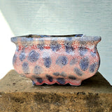 Square Bonsai Pot 24cm x 15.5cm