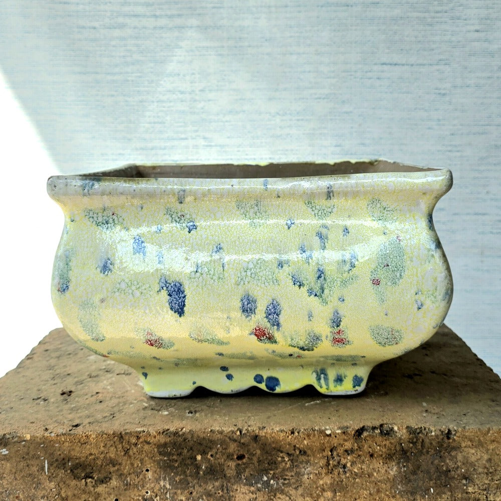 Square Bonsai Pot 24cm x 15.5cm