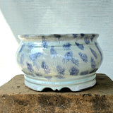Round Bonsai Pot