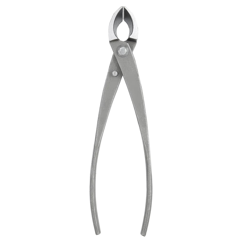 Carbon Steel Branch Cutter